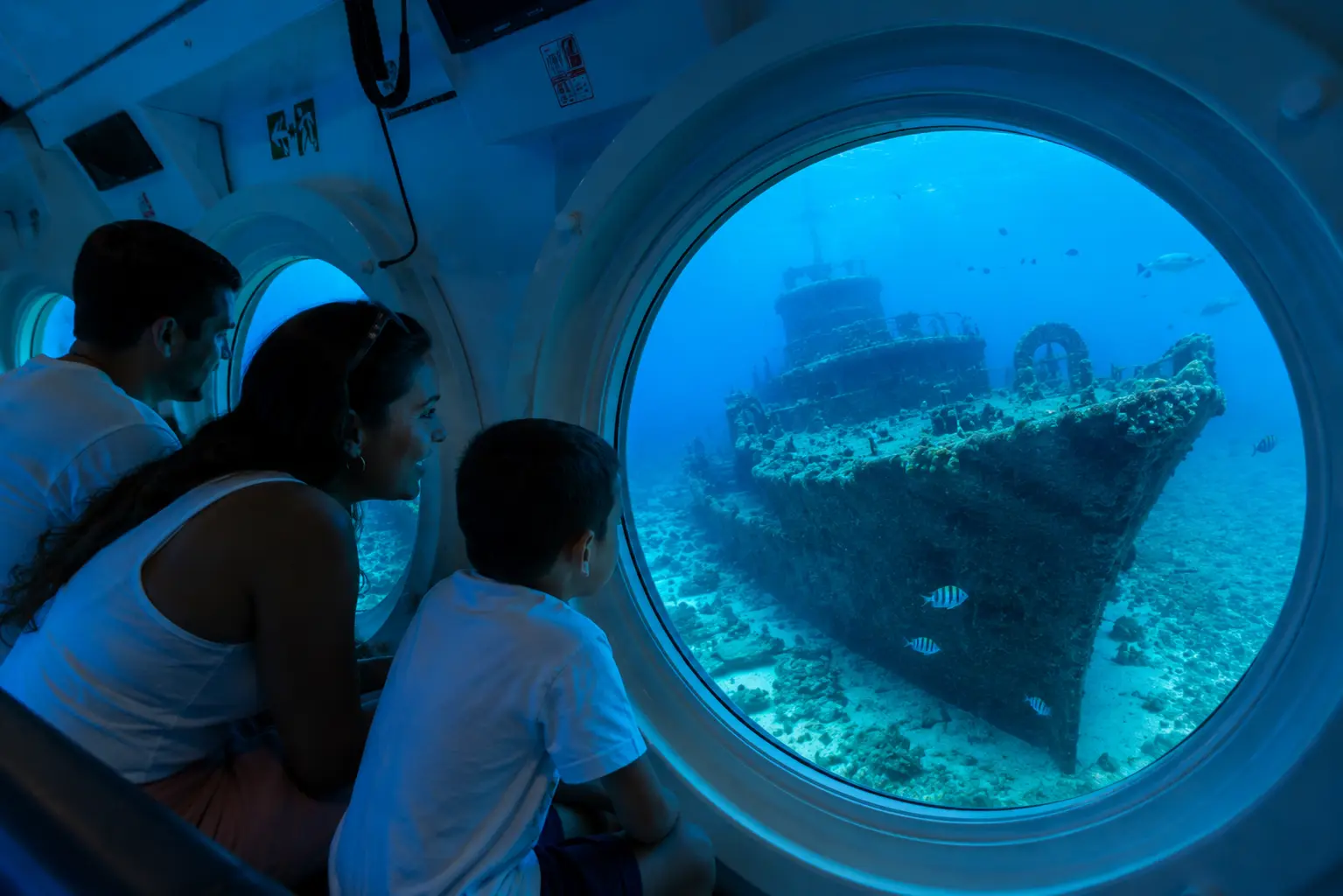 Underwater dive (100 ft) Explore reef, marine life, and shipwreck