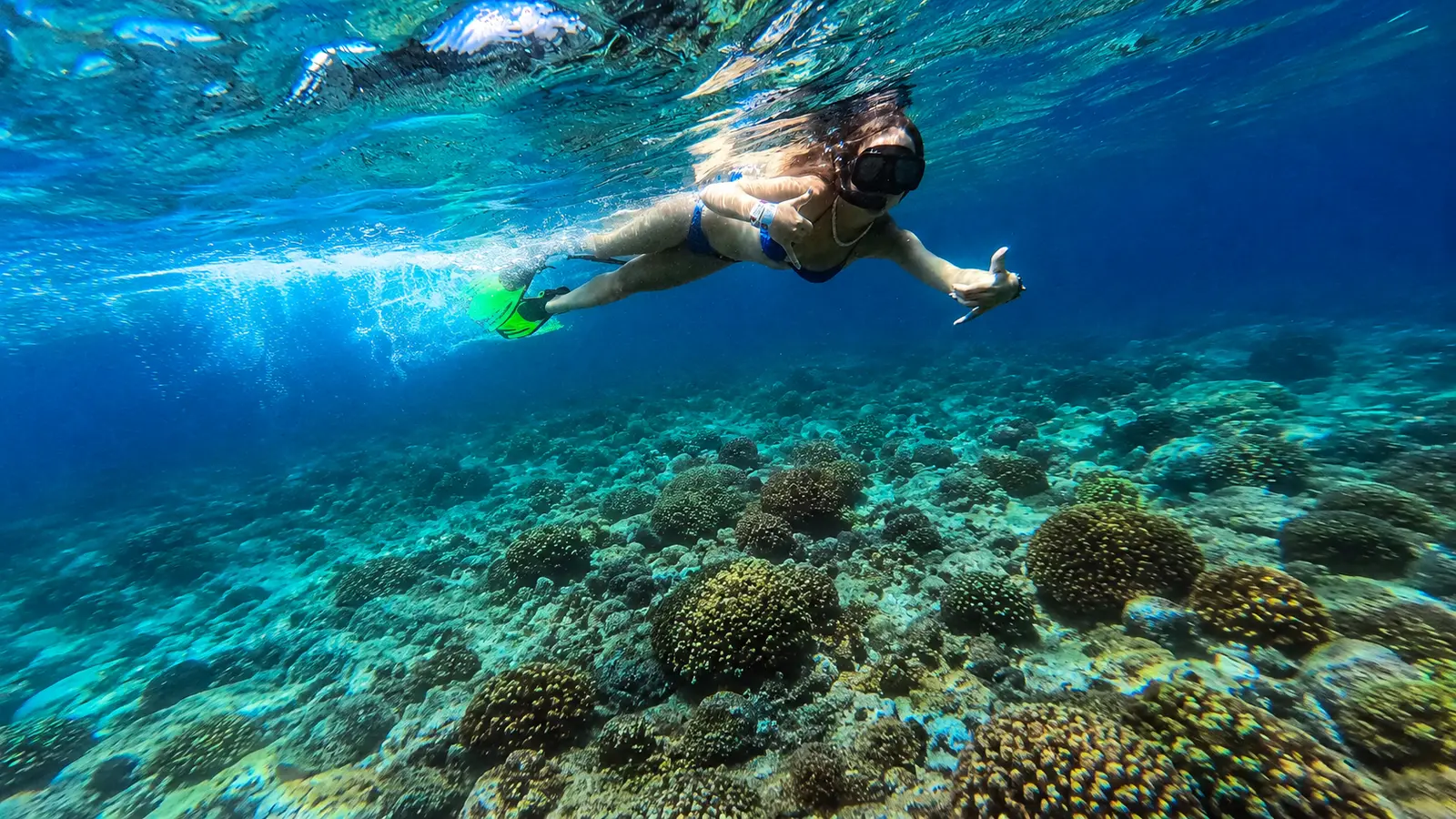 Swim, Snorkel & Relax Swim, paddle board and float at a hidden beach reachable only by boat. Drinks and music keep going while the day belongs to your group.