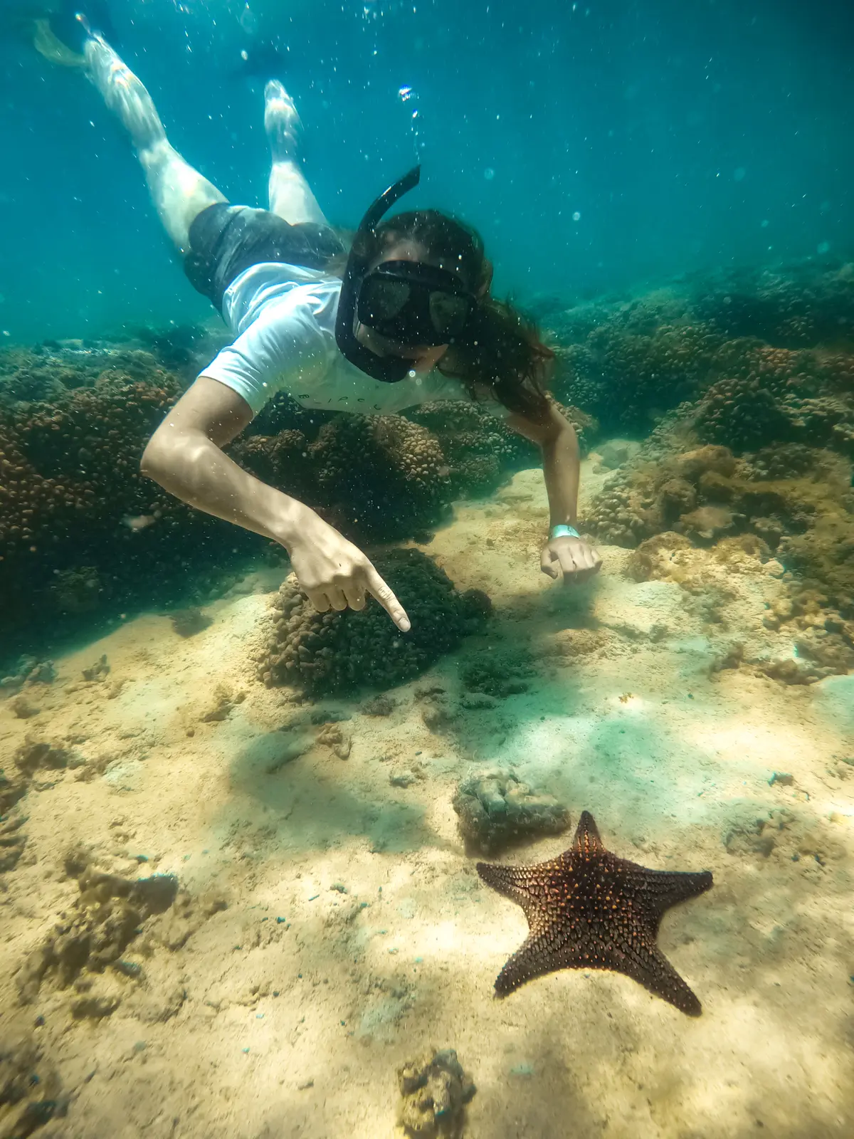 Swim, Snorkel & Relax Swim, paddle board and float at a hidden beach reachable only by boat. Drinks and music keep going while the day belongs to your group.