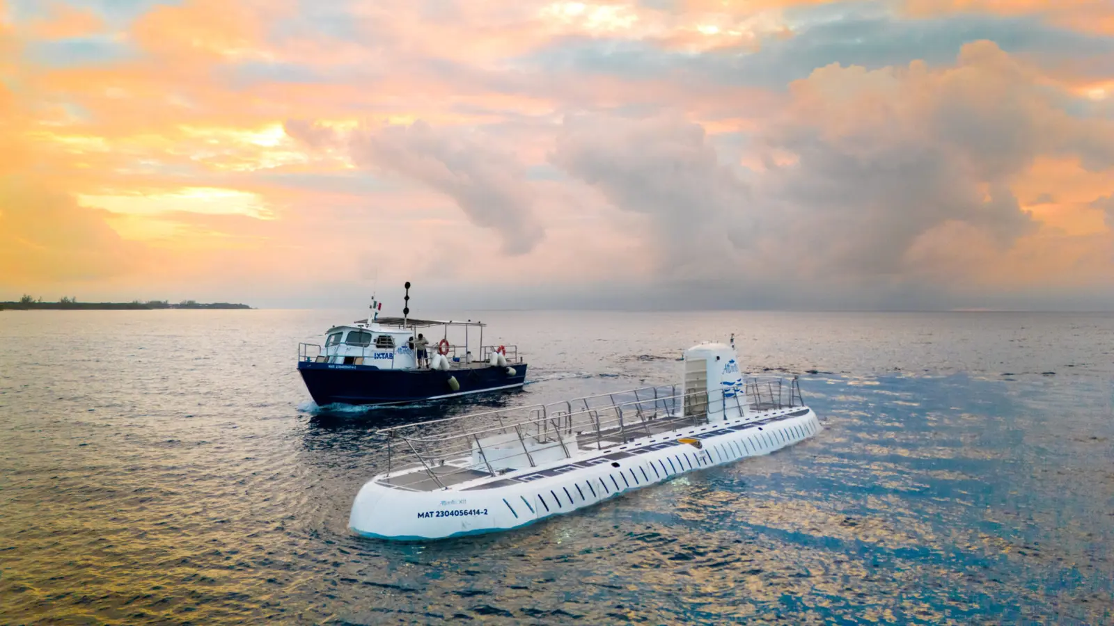 Underwater dive (100 ft) Explore reef, marine life, and shipwreck